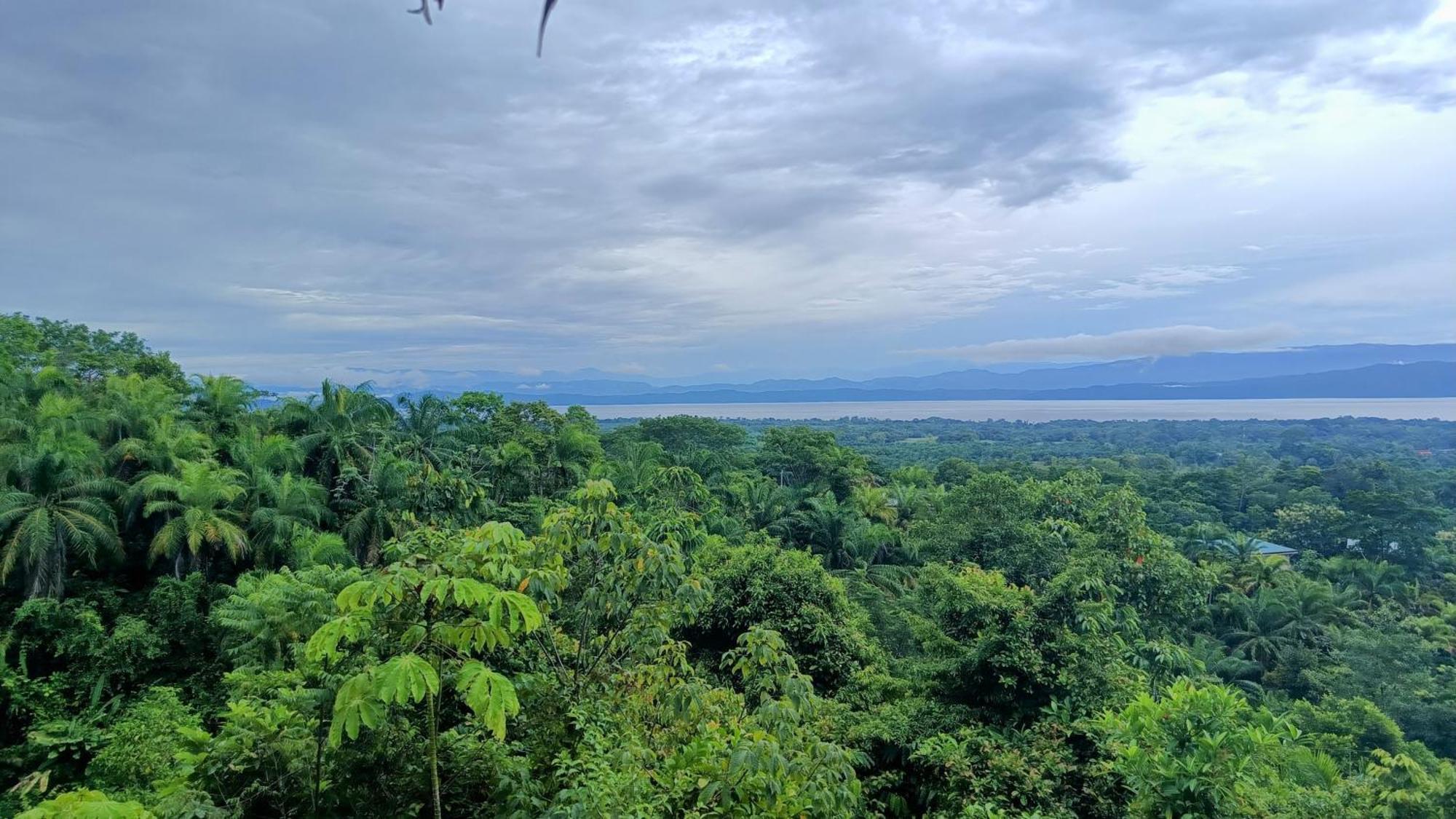 Corcovado Private Villas - Corcovado Private Reserve Puerto Jimenez Luaran gambar