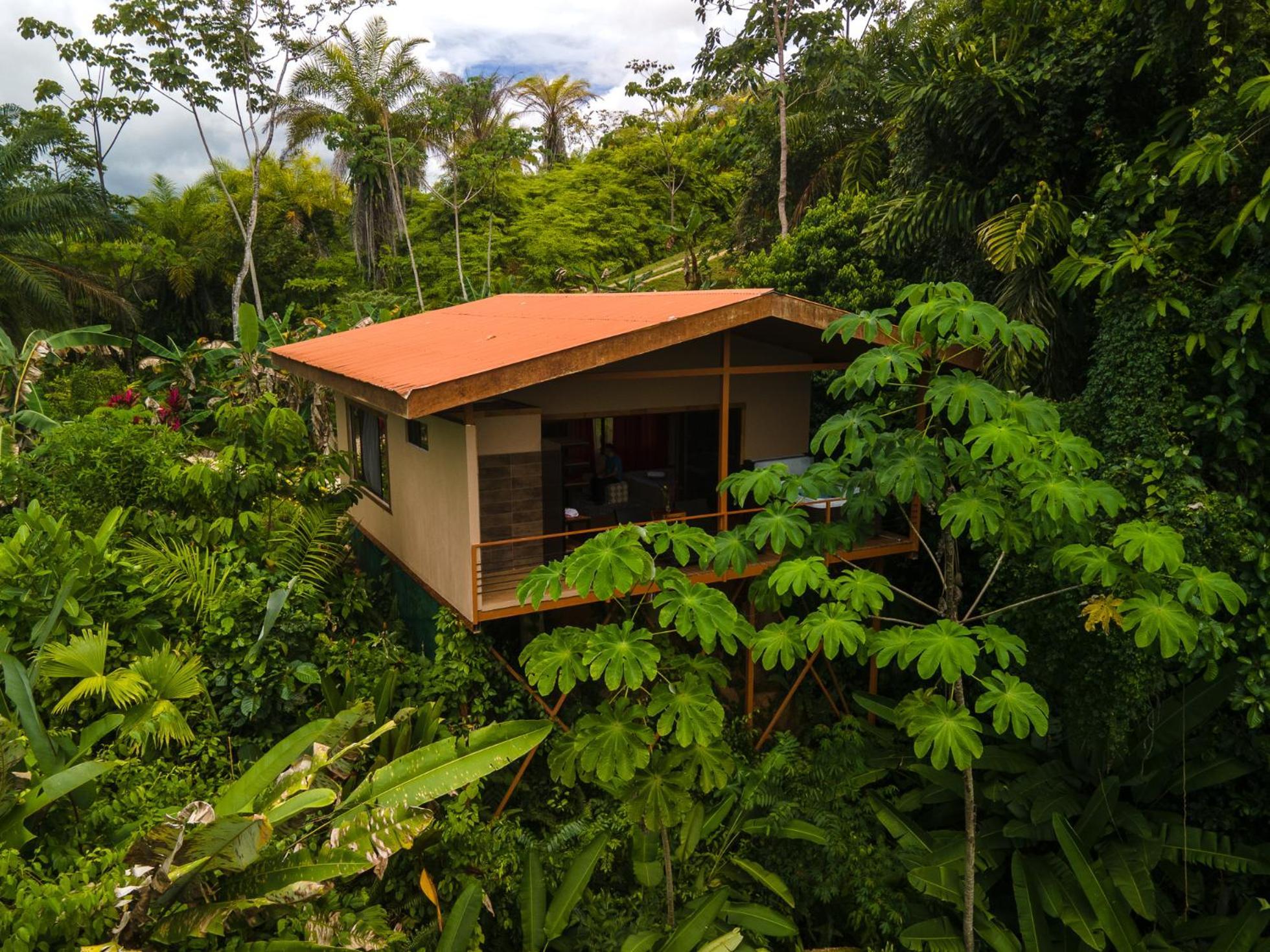 Corcovado Private Villas - Corcovado Private Reserve Puerto Jimenez Luaran gambar
