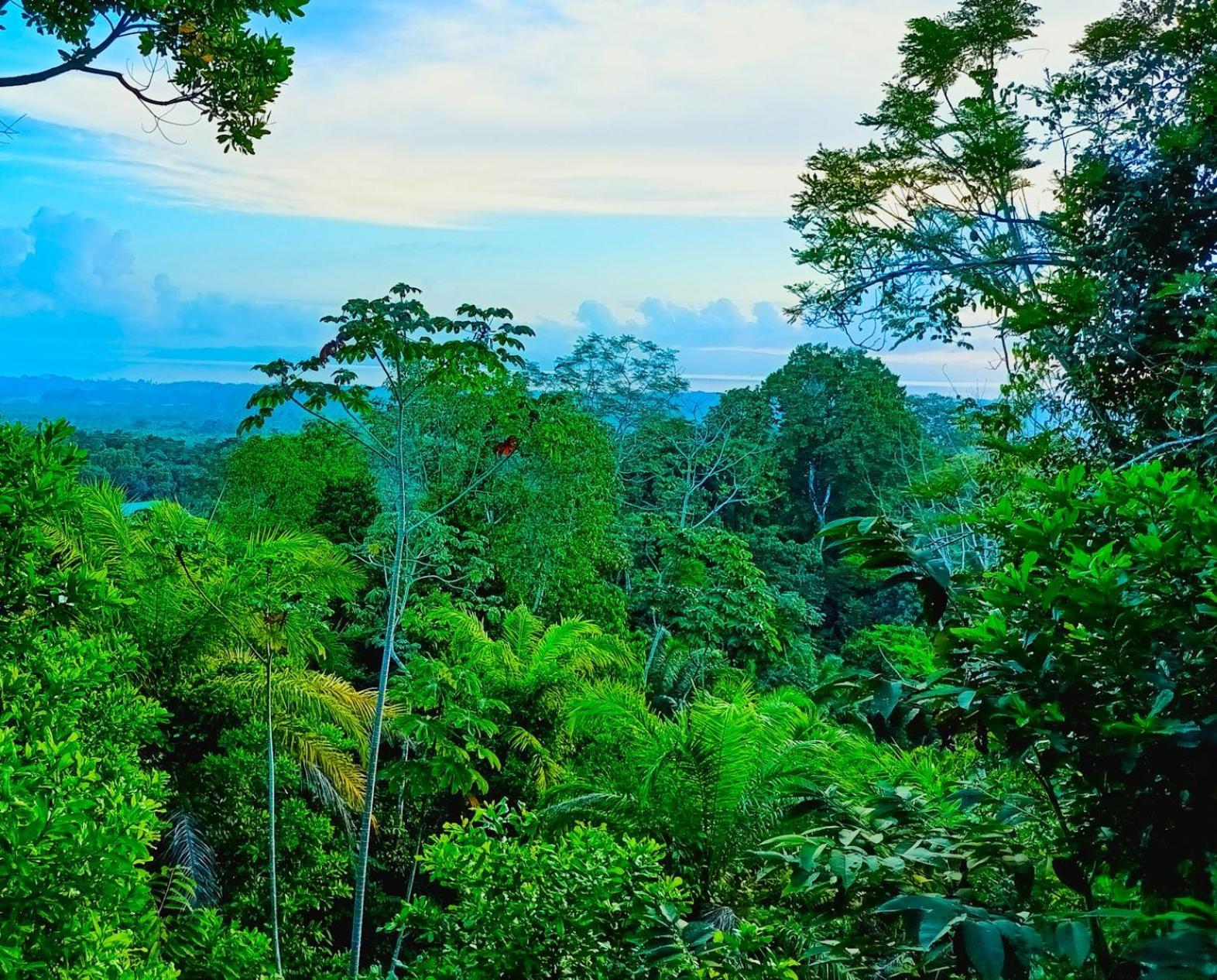 Corcovado Private Villas - Corcovado Private Reserve Puerto Jimenez Luaran gambar