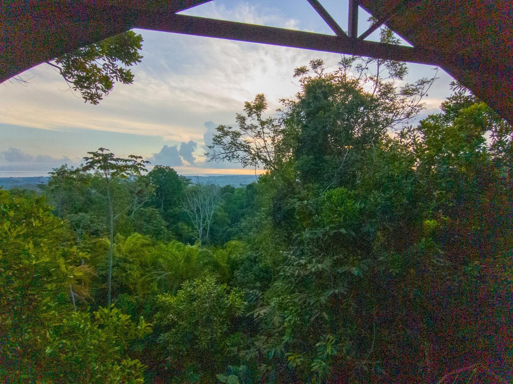 Corcovado Private Villas - Corcovado Private Reserve Puerto Jimenez Luaran gambar