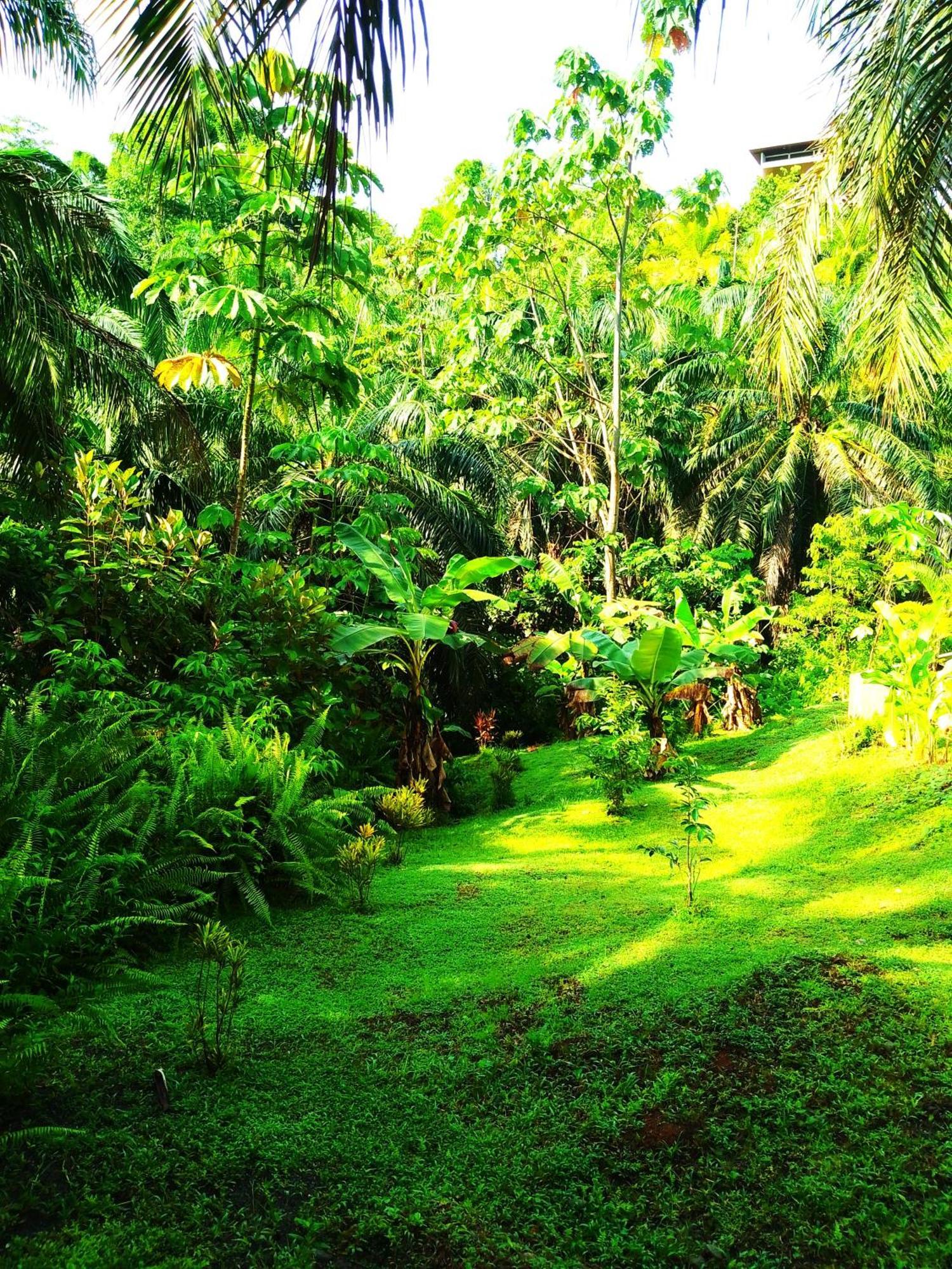 Corcovado Private Villas - Corcovado Private Reserve Puerto Jimenez Luaran gambar